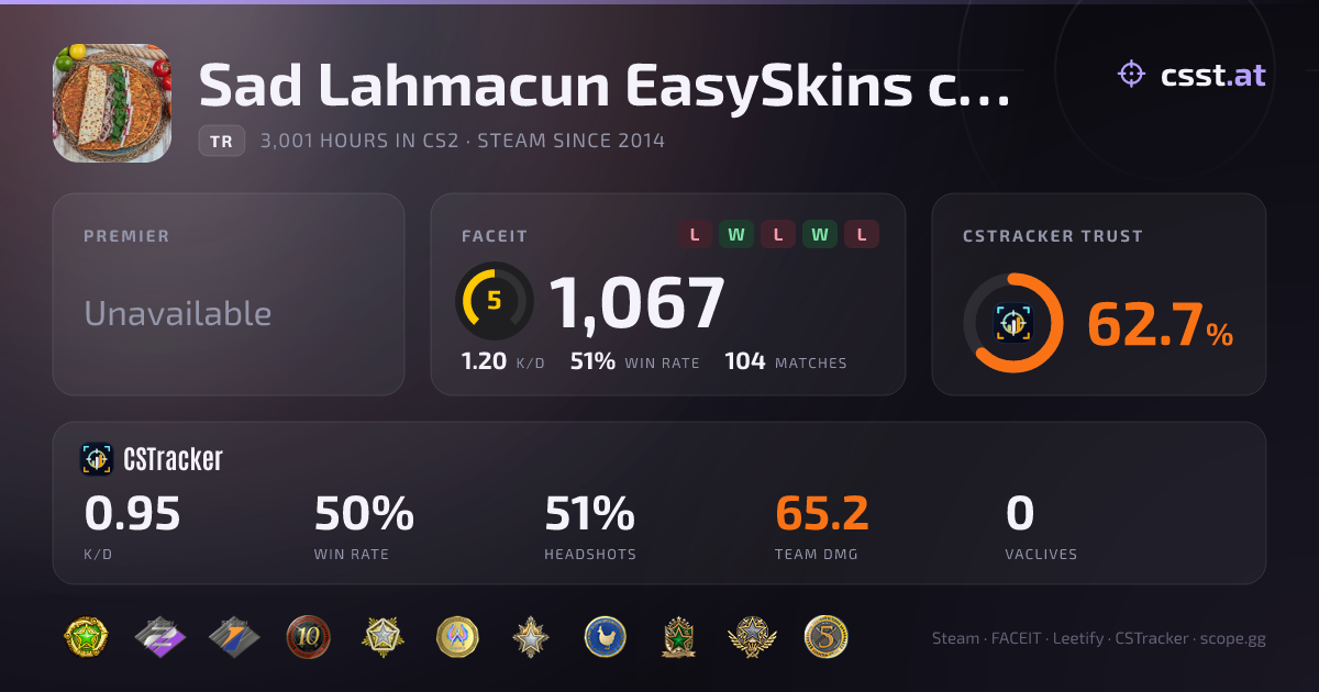 Sad Lahmacun EasySkins com — CS2 Stats & FACEIT Elo | csst.at